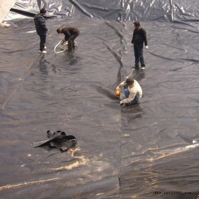 沼液池防渗HDPE土工膜 蓄水池 雨水收集池 沼液塘HDPE防渗膜图3