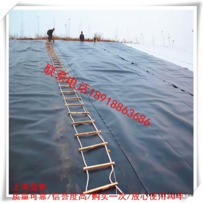 hdpe防渗膜销售上海盈帆 环保产品生产厂家