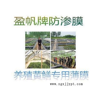 养殖泥鳅黄鳝专用HDPE防渗膜 水产膜 养殖膜 养殖塑料薄膜