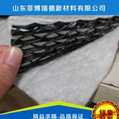 价销售复合排水网 现货复合排水网 HDPE材质复合排水网$图2