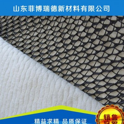 价销售复合排水网 现货复合排水网 HDPE材质复合排水网$图3