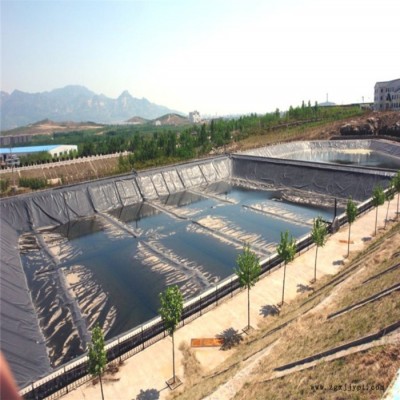土工膜hdpe  防渗水隔离层专用  立恒**厂家供应图2
