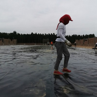 宇润 HDPE防渗膜 水库堤坝用防渗膜 防渗膜供应图1