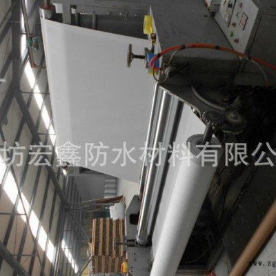 i【宏鑫防水】l聚氯乙烯L类外露  PVC高分子防水材料图3
