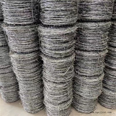 鑫普润 刺绳 pvc刺绳 双股镀锌刺绳 围栏防爬刺厂家量大从优