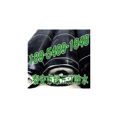 HDPE排水板_hdpe排水板图片_HDPE排水板价格图3