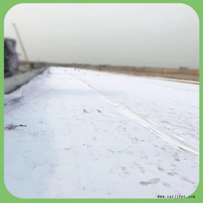 锦旺  HDPE复合膜 复合土工膜 厂家直供图2