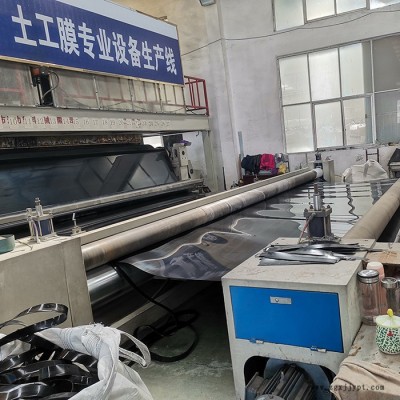 土工膜_hdpe防渗膜_土工膜厂家图2