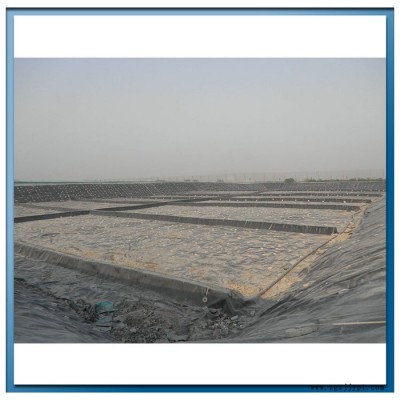 泉江Hdpe土工膜 防渗土工膜 泥鳅水产养殖hdpe防水膜图3