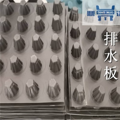 河南汝州排水板厂家 长年销售 中齐HDPE排水板图2