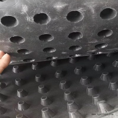 现货销售pvc毛细排水板  黑色hdpe排水板