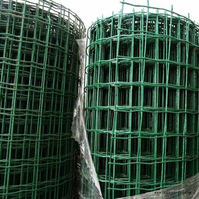 【耀佳】生产** PVC荷兰网 荷兰网 涂塑荷兰网 镀锌荷兰网 PVC涂塑荷兰网 厂家批发图2