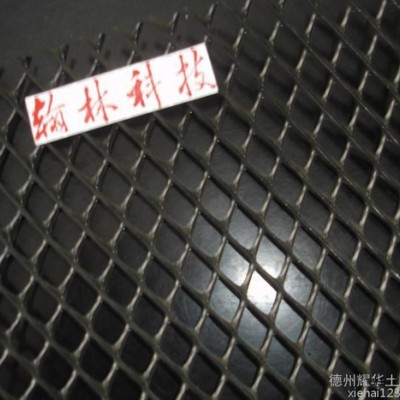东方 土工hdpe三维排水网200/5mm/200规格图8