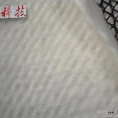 东方 土工hdpe三维排水网200/5mm/200规格图6
