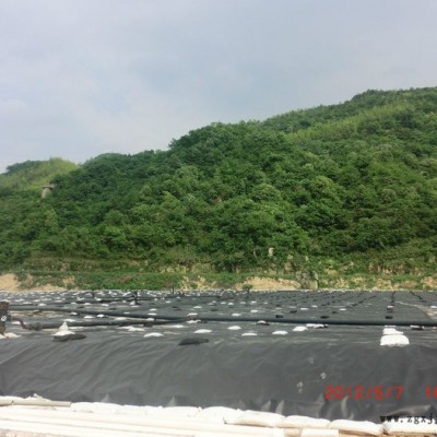 专业经营  HDPE土工膜  土工膜   防渗膜  品质有保障，购买前来咨询图7