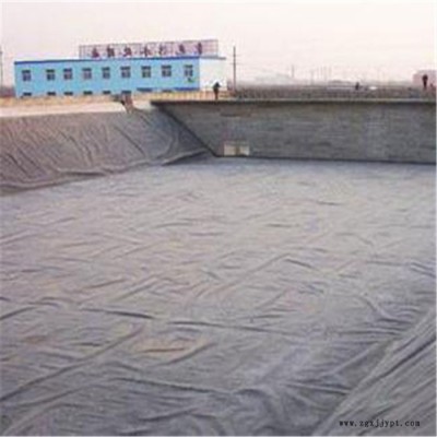 hdpe防渗膜 蓄水池防渗膜 施工快捷方便