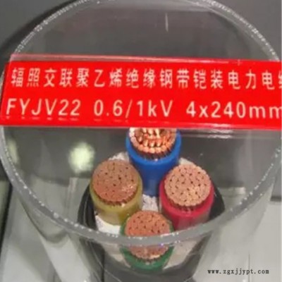 FYJV22   0.6/1KV 带铠装聚氯乙烯绝缘电力电缆 聚乙烯电缆料图2