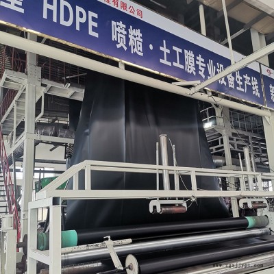 双河0.2mm-1.0mm土工膜 HDPE土工膜生产批发