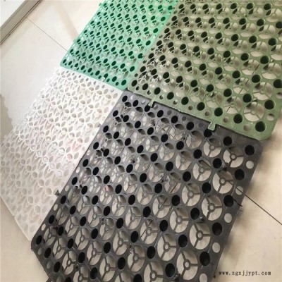塑料蓄排水板 绿化蓄排水板 HDPE蓄排水板图2