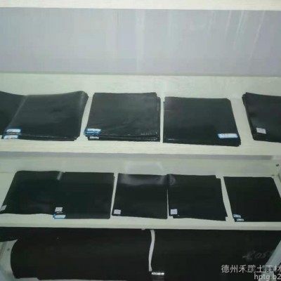 禾鹏 氧化池防渗膜 HDPE土工膜厂家直供图2