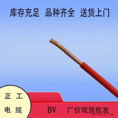 电线电缆 BV630平方聚氯乙烯绝缘单芯塑铜线 国标家装