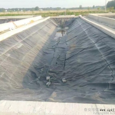 儒风 绿色土工膜 土工膜 鱼塘防渗膜HDPE防渗膜图7