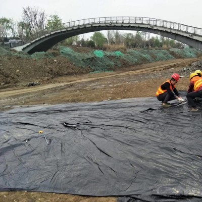 HDPE土工膜 污水处理土工膜 垃圾填埋场土工膜 德州厂家供应 规格齐全图5