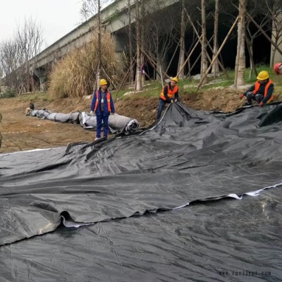 HDPE土工膜 污水处理土工膜 垃圾填埋场土工膜 德州厂家供应 规格齐全图1