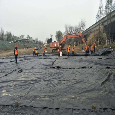 HDPE土工膜 污水处理土工膜 垃圾填埋场土工膜 德州厂家供应 规格齐全图2