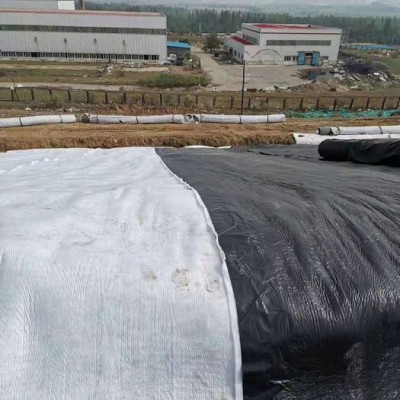 禾鹏 泥鳅养殖防渗膜防渗膜厂家HDPE防渗土工膜图6
