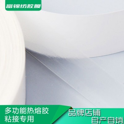A可定制1cm粘贴热熔胶带EAA热熔胶膜PO背胶绣花烫胶刺绣热熔膜图4