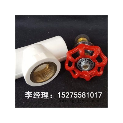 供应PPR给水管_PPR冷热水给水管_PPR饮水管_PP-R给水管图5
