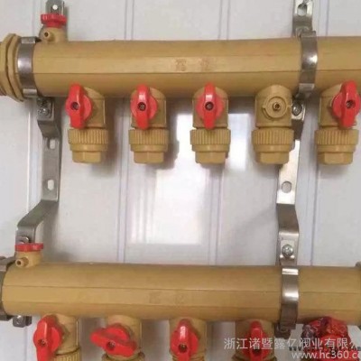 全国联保 地热专用pp-r连体双阀分水器 塑料地热集分水器图3