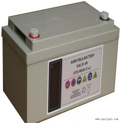 索锐森蓄电池 ASA1255产品详情 12V55AH电池厂家销售
