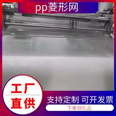 PP菱形网 折叠滤芯PP网 现货图4