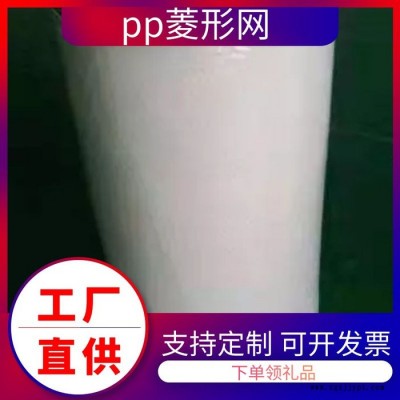 PP菱形网 折叠滤芯PP网 现货图2