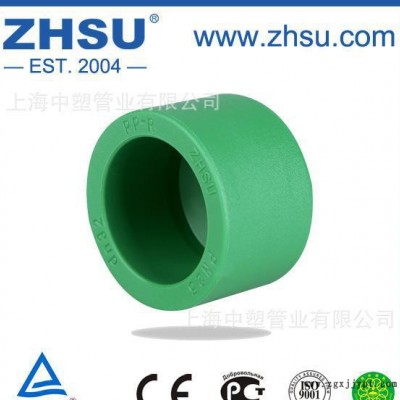 ZHSU/中塑PP-R管帽  PP-R堵头  PPR管帽  PPR堵头 pp-r管帽图2