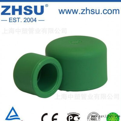 ZHSU/中塑PP-R管帽  PP-R堵头  PPR管帽  PPR堵头 pp-r管帽图3