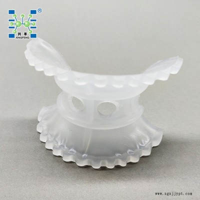 厂家供应聚丙烯PP异鞍环填料50mm 厚度4mm PP异鞍环 塑料异鞍环