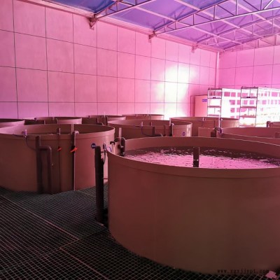 工厂化循环水养殖pp鱼池 pp塑料鱼苗孵化桶 塑料养殖池锥形底图6