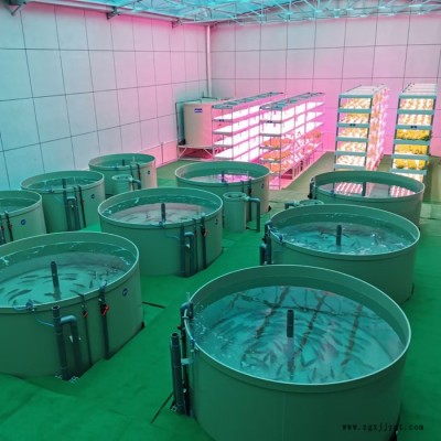工厂化循环水养殖pp鱼池 pp塑料鱼苗孵化桶 塑料养殖池锥形底图7
