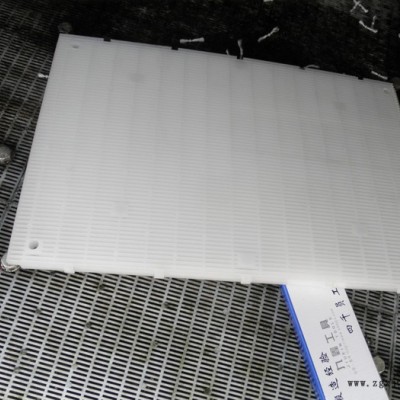 D型滤池PP拦截网板质量稳定-彗星滤料拦截板滤价格美丽-pp拦截板生产工艺视频-PP拦截网板安装调试注意事项图5