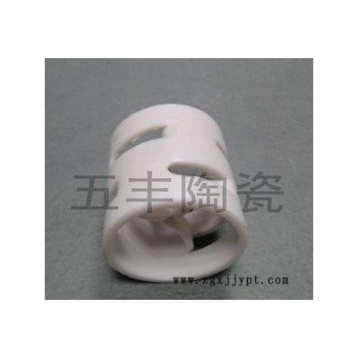 供应CPVC鲍尔环图3
