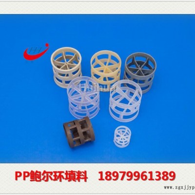 鲍尔环填料 塑料鲍尔环 聚丙烯鲍尔环 PP鲍尔环图2