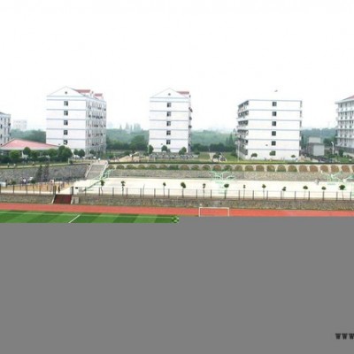 共启体育  阻燃PP人造草坪图1
