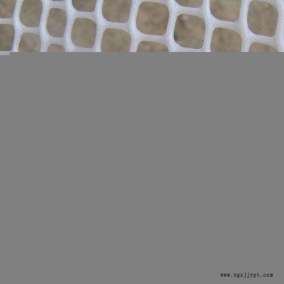 乙烯网 塑料平网 PP塑料平网