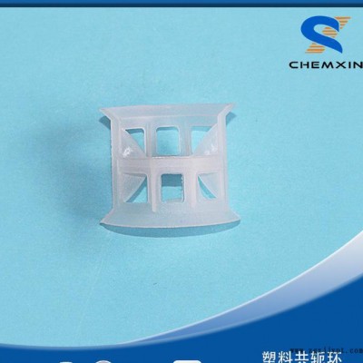 25mm 共轭环 塑料化工填料 PVC PP PE CPVC 材质图2