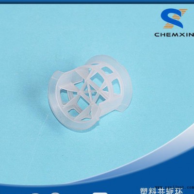 25mm 共轭环 塑料化工填料 PVC PP PE CPVC 材质图3