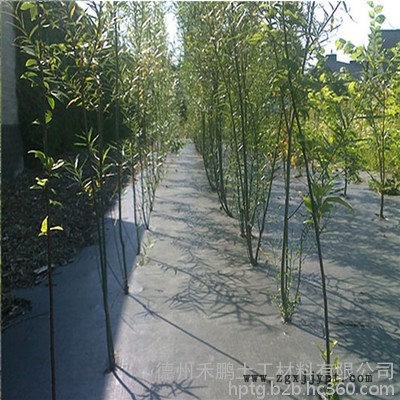 禾鹏pe\pp 防草布图6