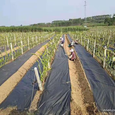 禾鹏pe\pp 防草布图2